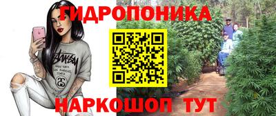 гидра Нальчик
