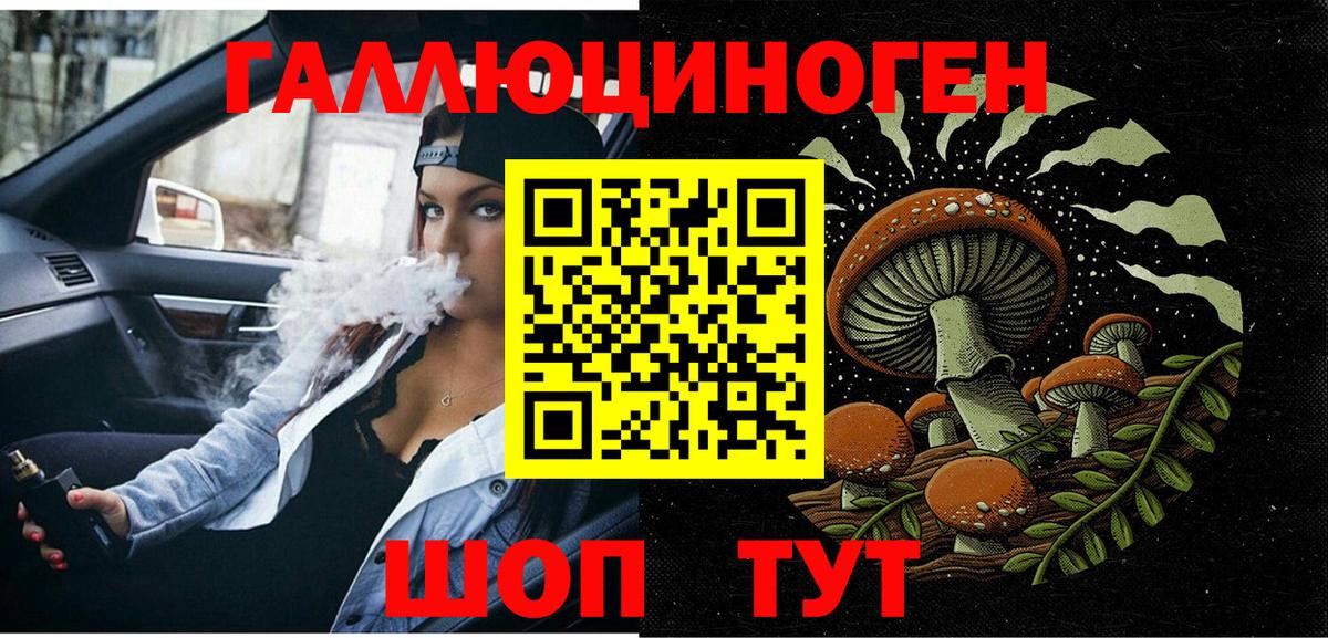 Псилоцибиновые грибы Psilocybine cubensis  Псилоцибиновые грибы мицелий  Черкесск  Вход с VPN 