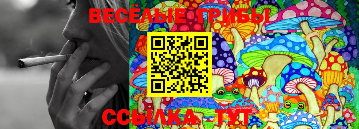 Псилоцибиновые грибы GOLDEN TEACHER Черкесск